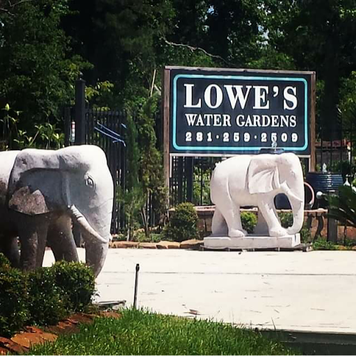 Lowe's Water Gardens