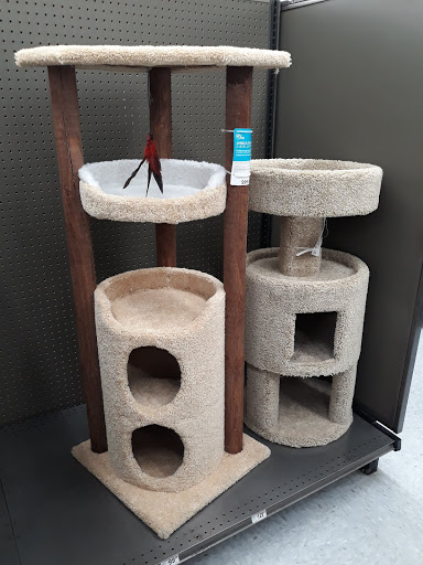 Pet Supply Store «Petco Animal Supplies», reviews and photos, 3246 N John Young Pkwy, Kissimmee, FL 34741, USA