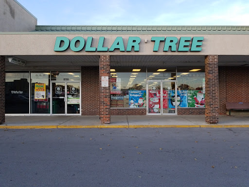 Dollar Store «Dollar Tree», reviews and photos, 8766 W Dempster St, Niles, IL 60714, USA