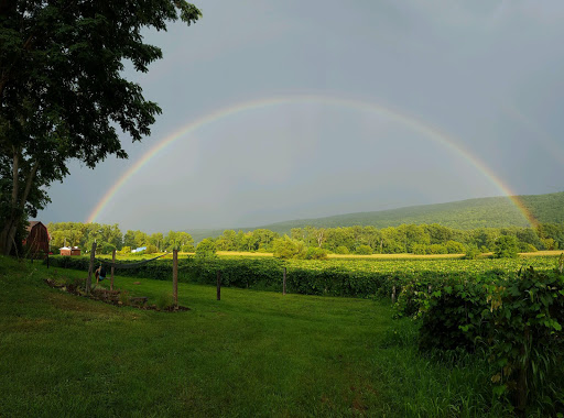 Winery «Inspire Moore Winery», reviews and photos, 197 N Main St, Naples, NY 14512, USA