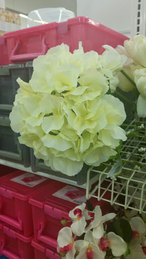 Fabric Store «Jo-Ann Fabrics and Crafts», reviews and photos, 413 E 23rd St, Panama City, FL 32405, USA