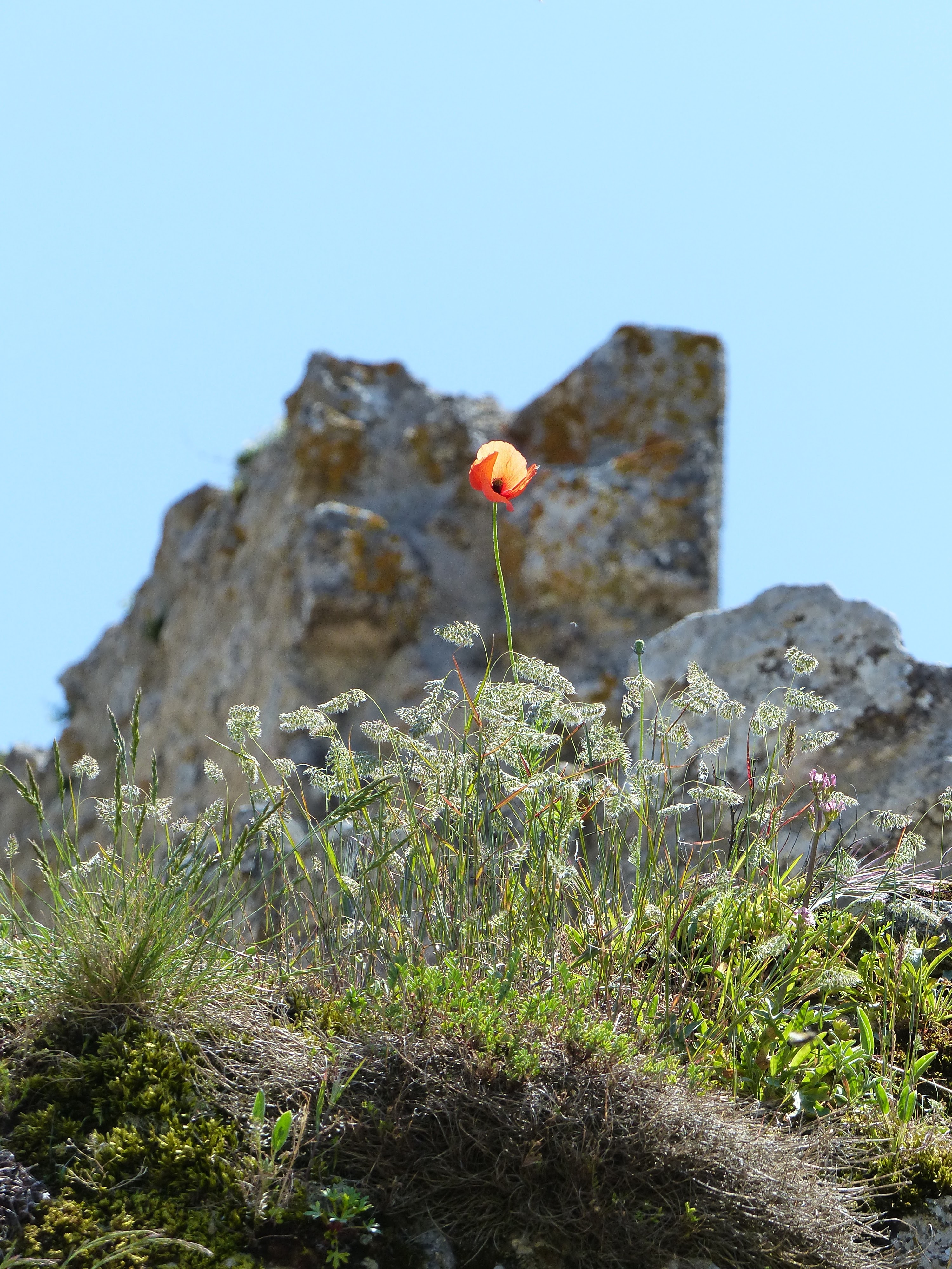 Photo n° 8 de l'avis de Audrey.a fait le 10/08/2017 à 17:21