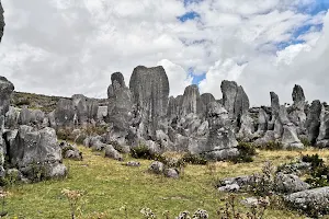 Bosque de Piedras Bambamarca image