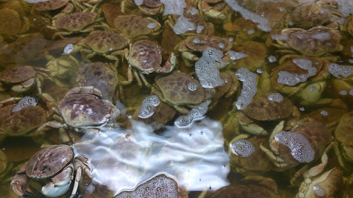 Seafood Market «Mekong Market», reviews and photos, 314 Broad St, Providence, RI 02907, USA