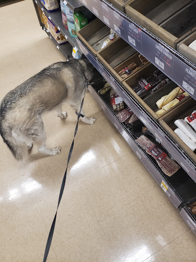 Pet Supply Store «Petco Animal Supplies», reviews and photos, 1080 Hometown Commons, Mountain Home, AR 72653, USA