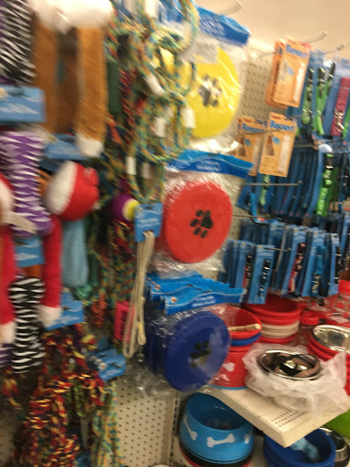 Dollar Store «Dollar Tree», reviews and photos, 900 San Fernando Rd, San Fernando, CA 91340, USA