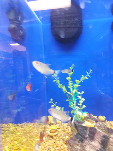 Pet Supply Store «PetSmart», reviews and photos, 533 S Broad St, Meriden, CT 06450, USA