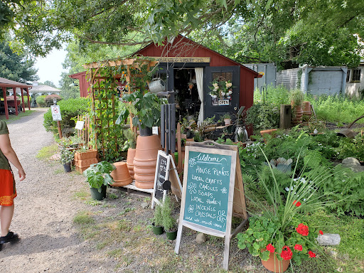 Farm «B & B Flower Farm», reviews and photos, 668 Jones Hill Rd, West Haven, CT 06516, USA