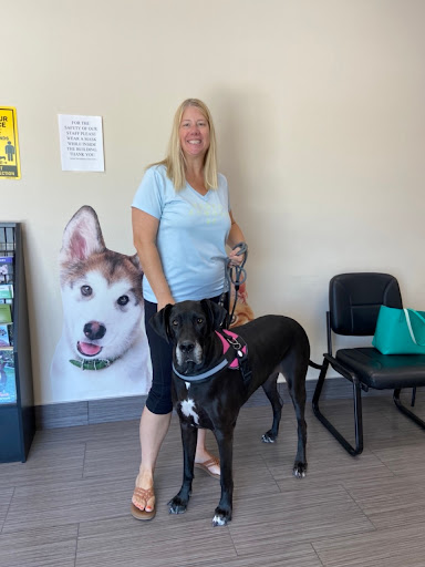 Animal Dermatology Clinic