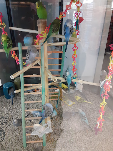 Pet Supply Store «Petco Animal Supplies», reviews and photos, 9078 SE Sunnyside Rd, Clackamas, OR 97015, USA