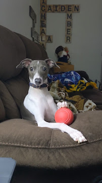 Homeward Boarding - Photo 9 - Car repair in Neenah, WI, Appleton