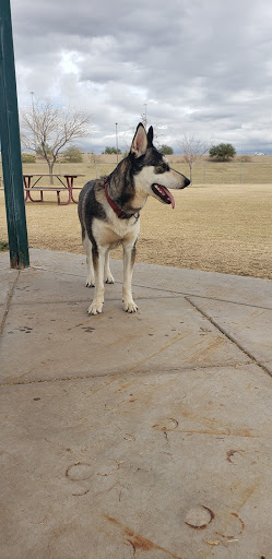 Community Center «Pecos Community Center», reviews and photos, 17010 S 48th St, Phoenix, AZ 85048, USA