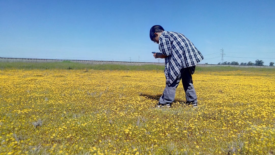 Jepson Prairie Preserve