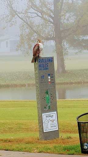 Public Golf Course «Rolling Hills Golf Course», reviews and photos, 1600 Pine Dr, Russellville, KY 42276, USA