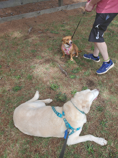 Park «Salem Park», reviews and photos, 1724 GA-155 N, McDonough, GA 30252, USA