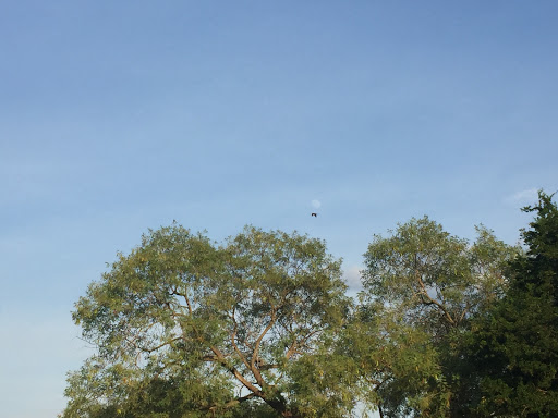 Nature Preserve «McAllen Nature Center», reviews and photos, 4101 U.S. 83 Business, McAllen, TX 78501, USA