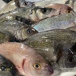 Photo n°1 de l'avis de Francesco.o fait le 31/01/2024 à 13:33 sur le  5 SENSI restaurant à Martina Franca