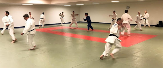 Judo Alliance Paris