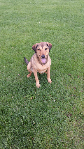 Park «Snowy River Park», reviews and photos, 6152 Snowy River Dr, Colorado Springs, CO 80923, USA