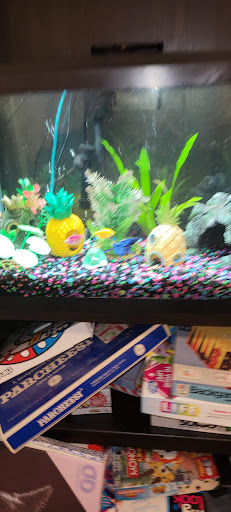 Pet Supply Store «PetSmart», reviews and photos, 19 Clifton Country Rd, Clifton Park, NY 12065, USA