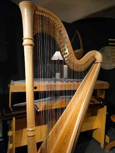 Luc Vanlaere Harpist