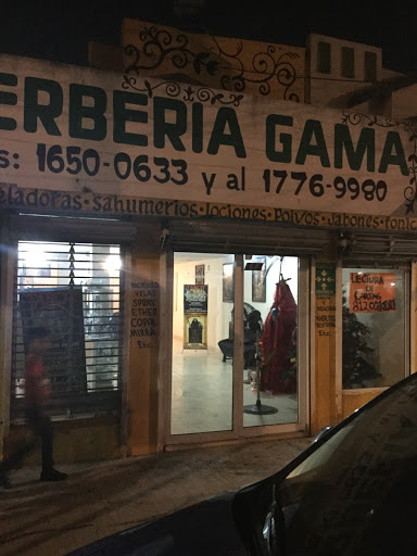 Hierberia Gama