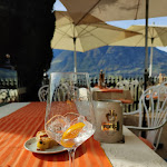 Photo n°1 de l'avis de Silvia.e fait le 06/11/2022 à 15:42 sur le  Saxifraga à Tirol