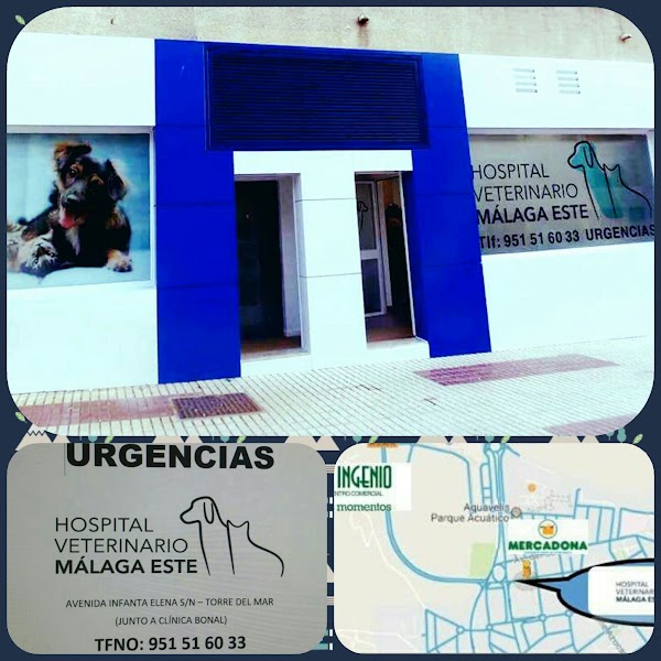 Hospital Veterinario Málaga Este
