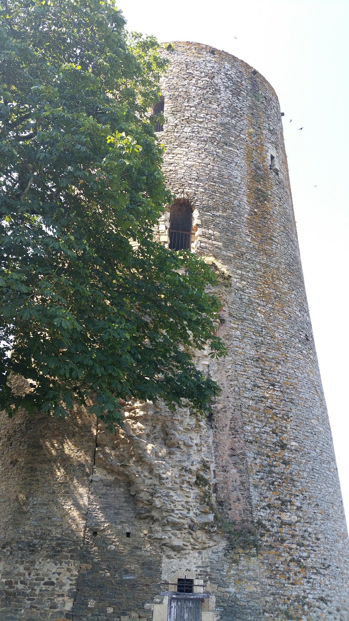 Photo n° 2 de l'avis de Michel.a fait le 04/07/2019 à 16:58