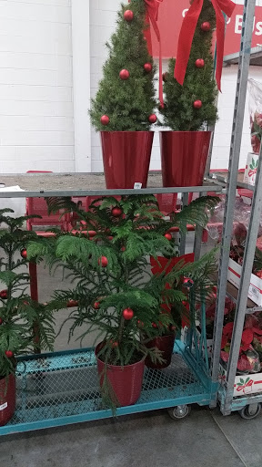 Warehouse club «BJ’s Wholesale Club», reviews and photos, 8811 Brier Creek Pkwy, Raleigh, NC 27617, USA