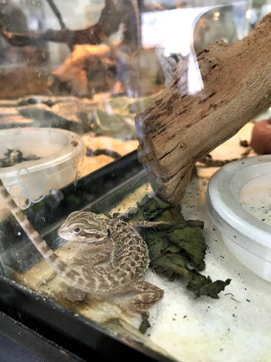 Pet Store «Animal Ark Pet Stores», reviews and photos, 33 Center St, Orem, UT 84057, USA