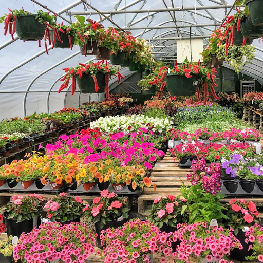 Plant Nursery «A Growing Concern Garden Center», reviews and photos, 1707 Spartanburg Hwy, Hendersonville, NC 28792, USA