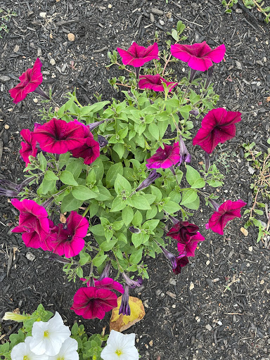 Park «Fox Point State Park», reviews and photos, Hay Road, Wilmington, DE 19809, USA