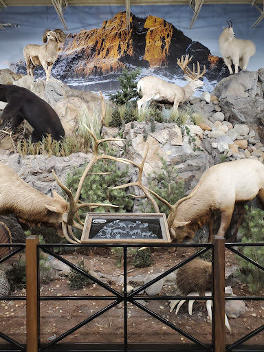 Outdoor Sports Store «Field & Stream», reviews and photos, 5215 Century Ave, Kalamazoo, MI 49006, USA