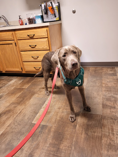 Oceana Veterinary Clinic image