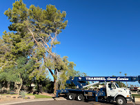 Heartwood Tree Care - Photo 4 - Car repair in Gilbert, AZ, Gilbert