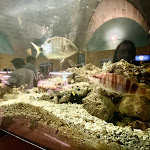 Photo n°3 de l'avis de Liberato.a fait le 12/08/2022 à 09:26 sur le  Punto Snack à Porto Cesareo