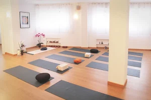 Vidya Yoga Meditación image