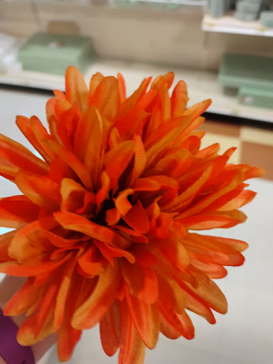 Fabric Store «Jo-Ann Fabrics and Crafts», reviews and photos, 5327 E 41st St, Tulsa, OK 74135, USA