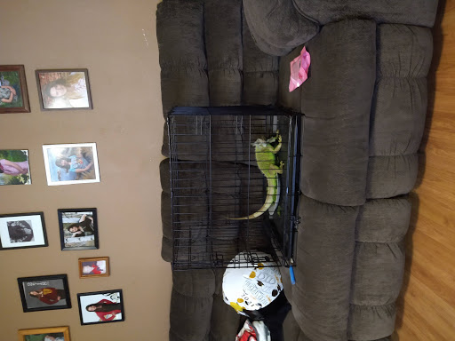 Pet Supply Store «Pets For You», reviews and photos, 413 N Main St, Rice Lake, WI 54868, USA