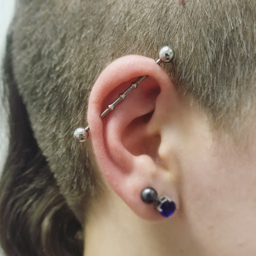 Body Piercing Shop «Skin Gallery Tattooing & Body Piercing», reviews and photos, 1402 Ogden Ave, Downers Grove, IL 60515, USA