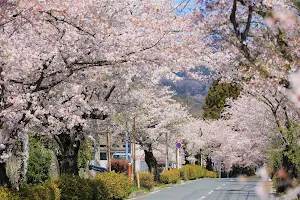 長瀞 北桜通り image