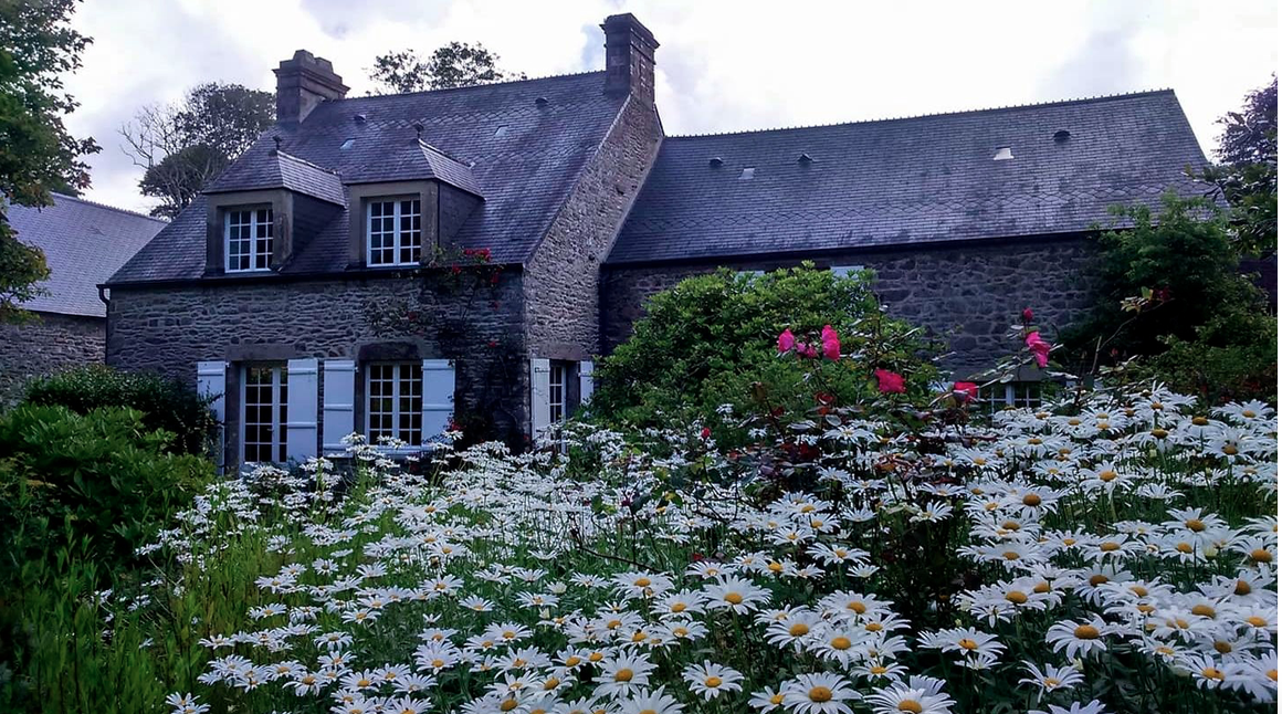 Photo n° 5 de l'avis de neveux-lestrohan.h fait le 16/09/2020 à 21:15