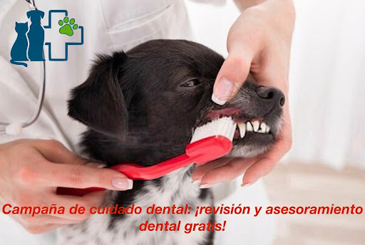Clínica Veterinaria Puebla Lucía en Fuengirola
