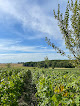 Champagne Cuillier | Vol en Montgolfière | Champagne Tour Pouillon