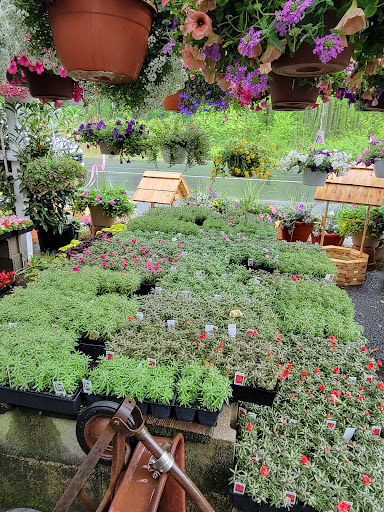 Grocery Store «Red Top Farm Market», reviews and photos, 1801 NJ-70, Southampton Township, NJ 08088, USA