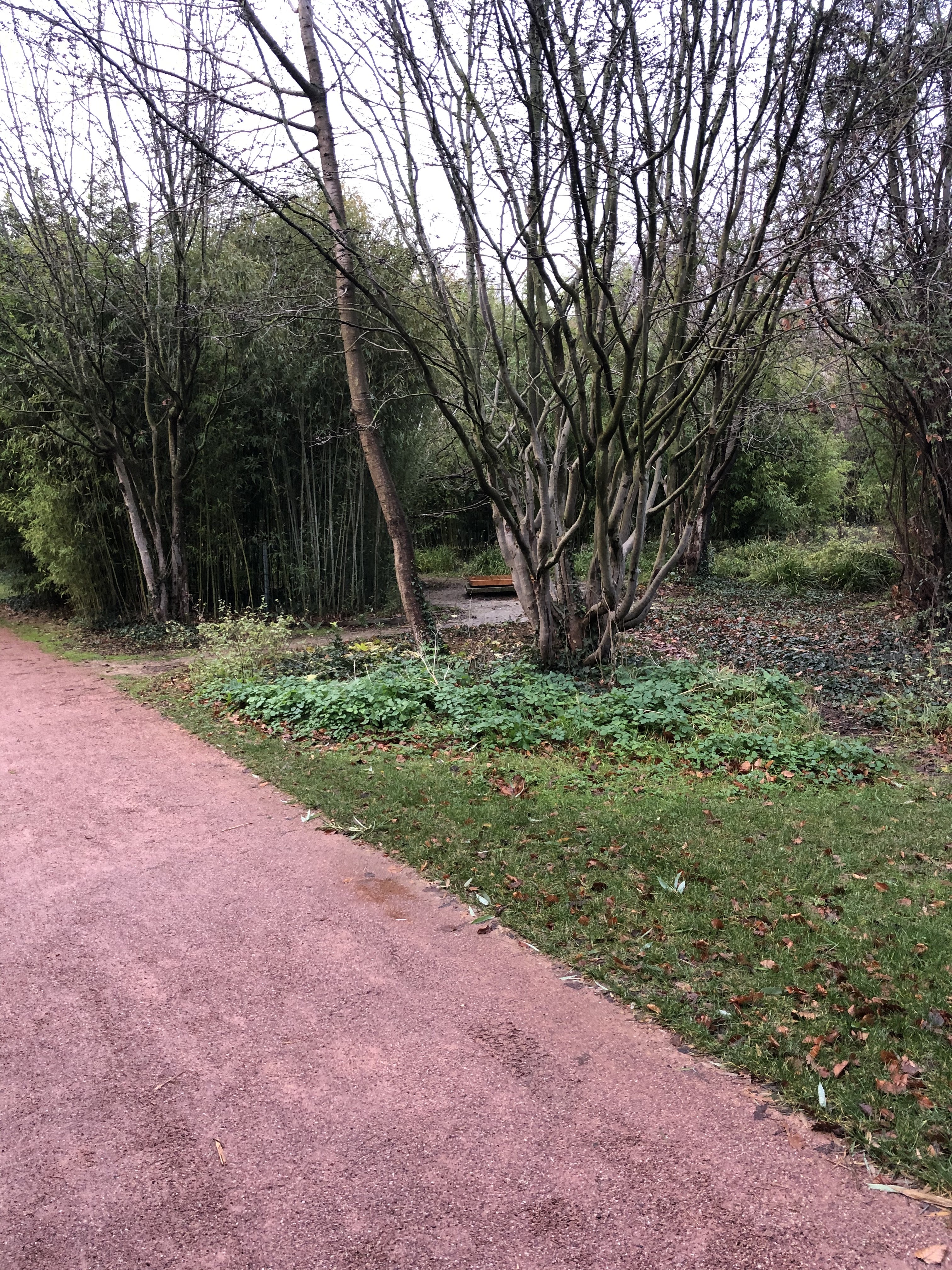 Photo n° 3 de l'avis de Jean.o fait le 22/11/2018 à 10:25