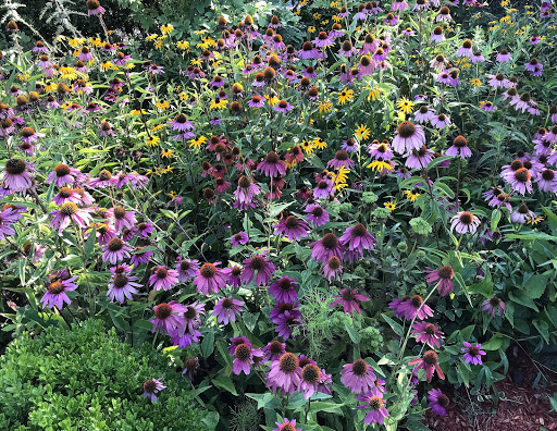 Florist «Metropolitan Plant and Flower Exchange», reviews and photos, 471 NJ-10, West Orange, NJ 07052, USA