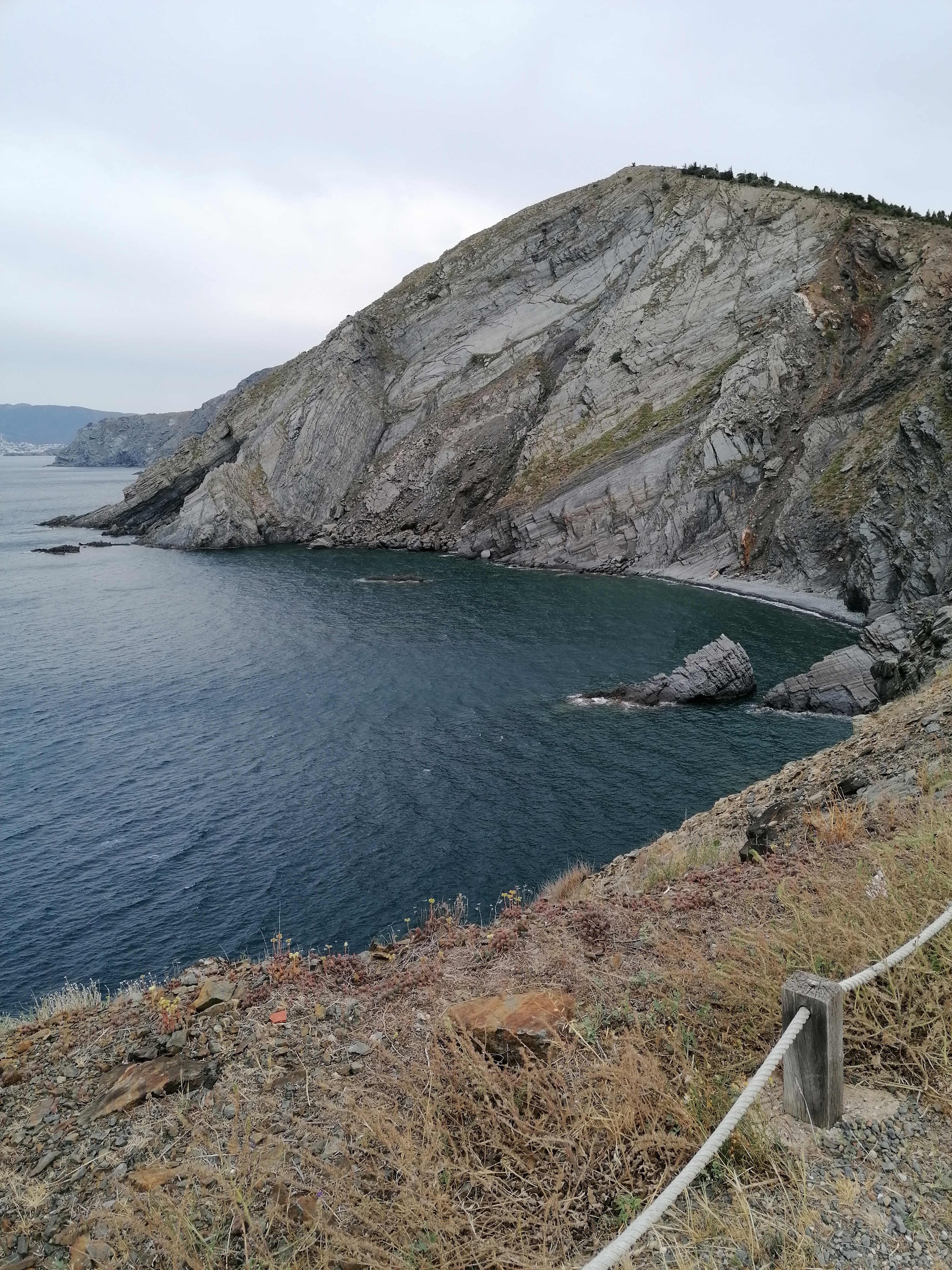 Photo n° 1 de l'avis de spe6.e fait le 07/07/2023 à 22:52