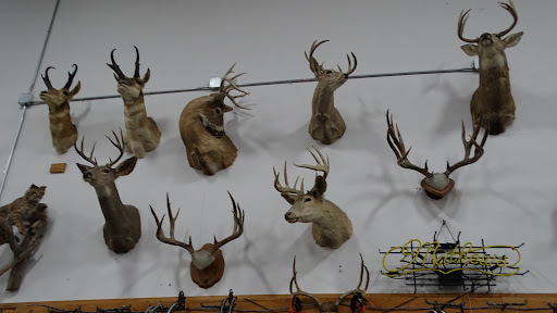 Sporting Goods Store «Sportco Warehouse Sporting Goods», reviews and photos, 4602 20th St E, Fife, WA 98424, USA